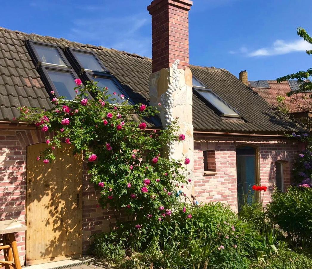 Boutique Hotel Shambala Zeitlos Wiedemar Exteriör bild